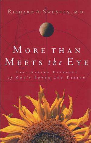 More Than Meets the Eye More Than Meets the Eye