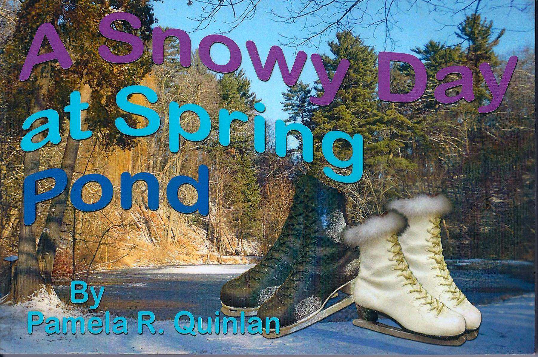 A Snowy Day at Spring Pond A Snowy Day at Spring Pond