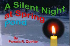 A Silent Night at Spring Pond A Silent Night at Spring Pond